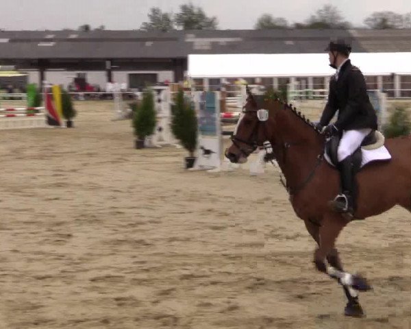 Reitturnier Bottrop 2017