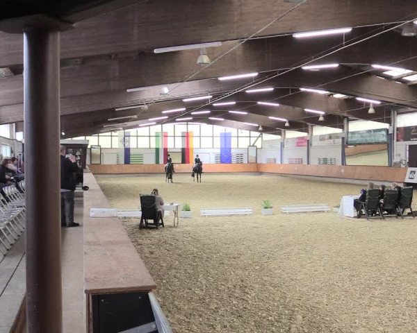Reitturnier Bottrop 2017