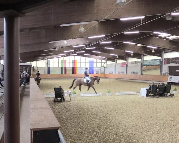 Reitturnier Bottrop 2017