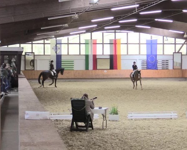 Reitturnier Bottrop 2017