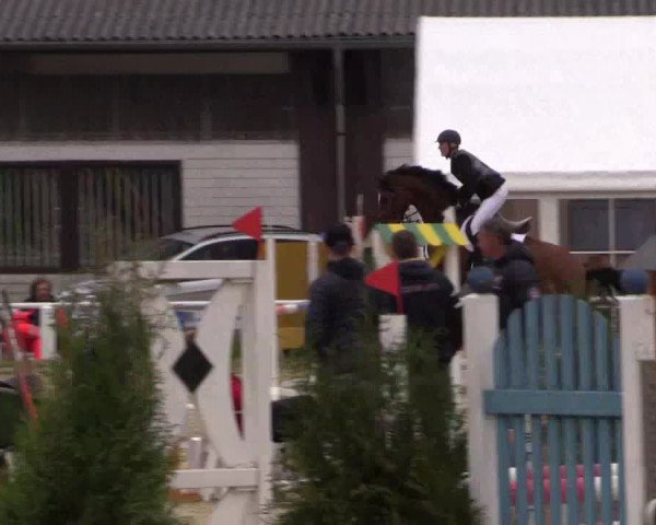 Reitturnier Bottrop 2017