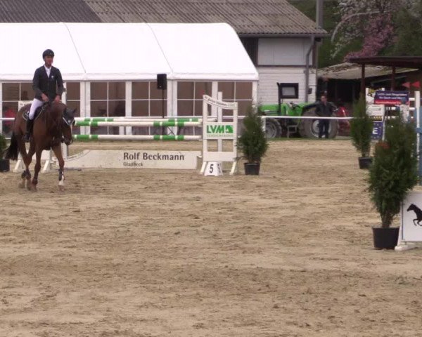 Reitturnier Bottrop 2017