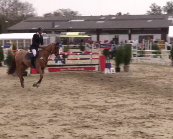 Reitturnier Bottrop 2017