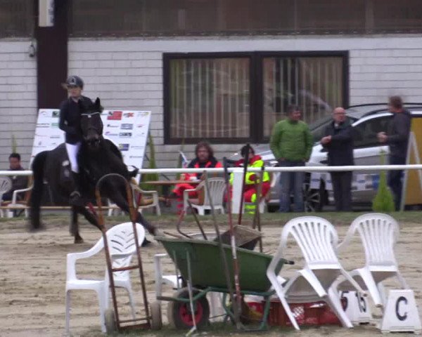 Reitturnier Bottrop 2017