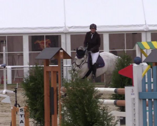 Reitturnier Bottrop 2017