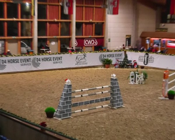 Christmas Jumping Trophy Prussendorf 2021