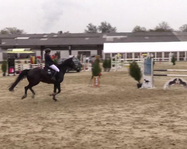 Reitturnier Bottrop 2017