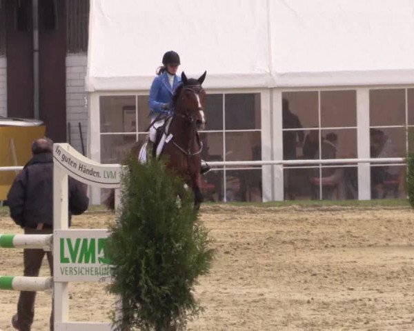 Reitturnier Bottrop 2017