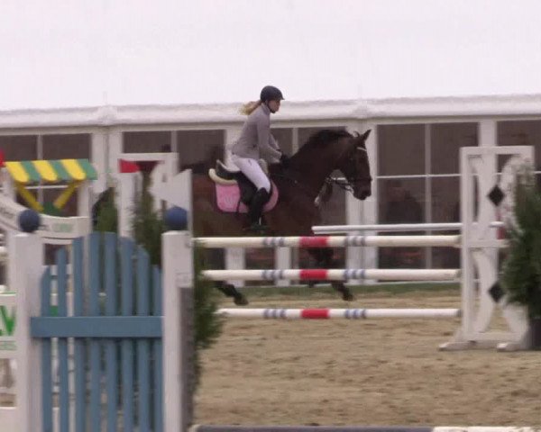 Reitturnier Bottrop 2017