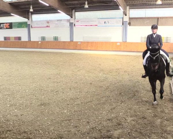 Reitturnier Bottrop 2017