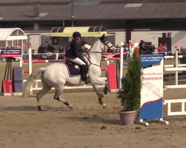 Reitturnier Bottrop 2017