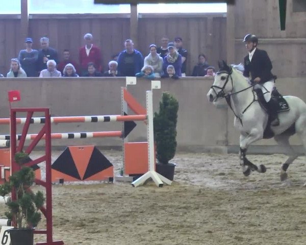 Jubiläums-Hallenspringturnier Ailingen 2017