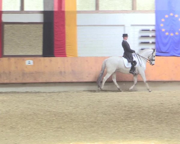 Reitturnier Bottrop 2017