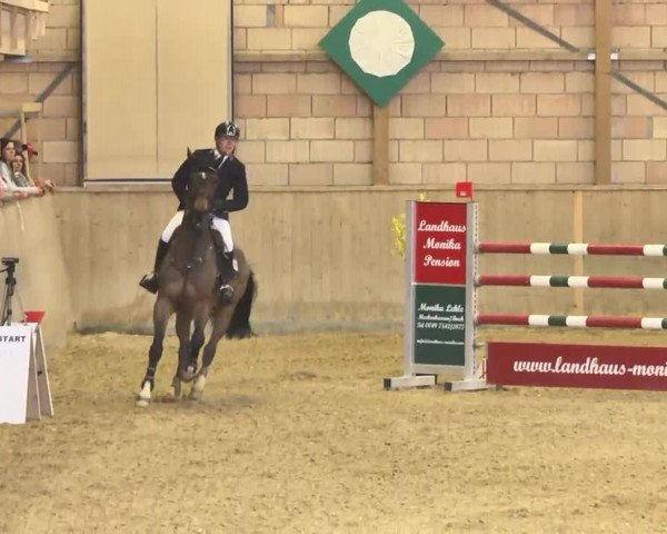 Jubiläums-Hallenspringturnier Ailingen 2017