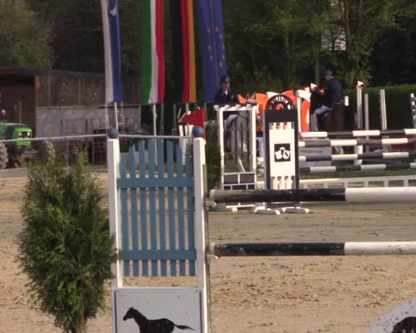 Reitturnier Bottrop 2017