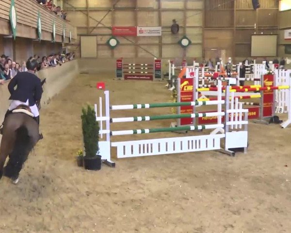 Jubiläums-Hallenspringturnier Ailingen 2017
