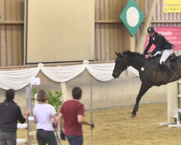 Jubiläums-Hallenspringturnier Ailingen 2017