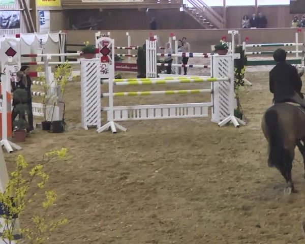 Jubiläums-Hallenspringturnier Ailingen 2017