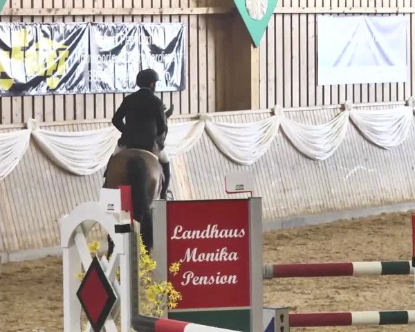 Jubiläums-Hallenspringturnier Ailingen 2017