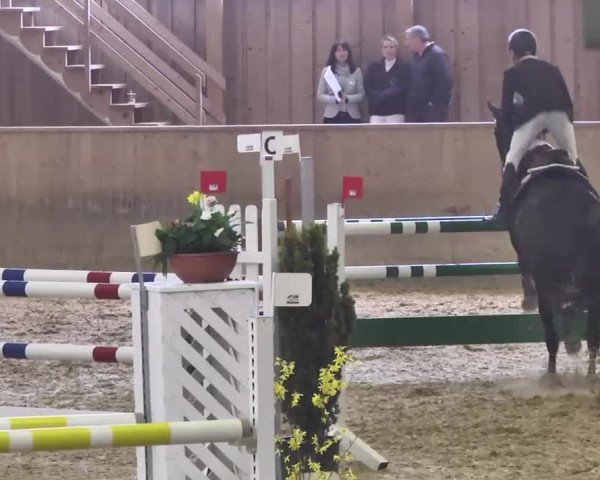 Jubiläums-Hallenspringturnier Ailingen 2017