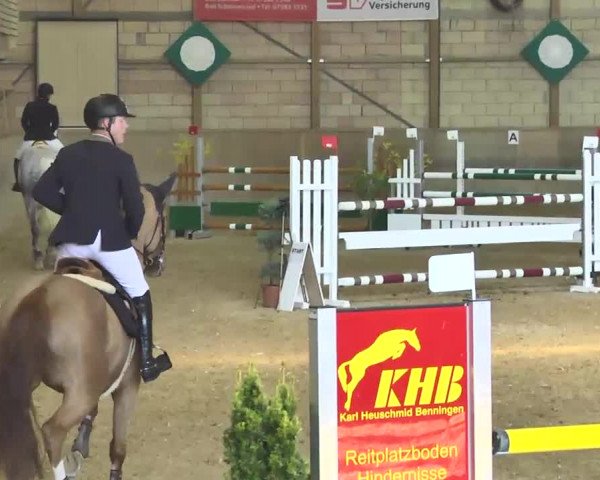 Jubiläums-Hallenspringturnier Ailingen 2017