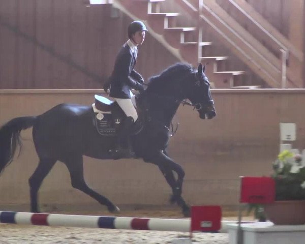 Jubiläums-Hallenspringturnier Ailingen 2017