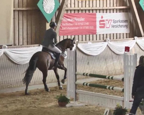 Jubiläums-Hallenspringturnier Ailingen 2017