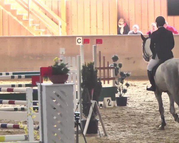 Jubiläums-Hallenspringturnier Ailingen 2017