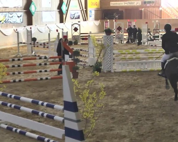 Jubiläums-Hallenspringturnier Ailingen 2017