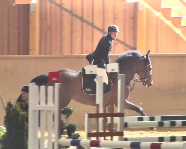 Jubiläums-Hallenspringturnier Ailingen 2017