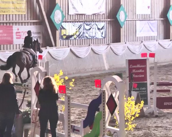 Jubiläums-Hallenspringturnier Ailingen 2017