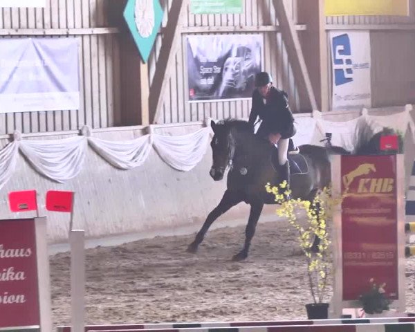 Jubiläums-Hallenspringturnier Ailingen 2017