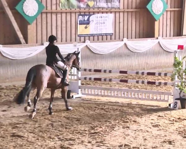 Jubiläums-Hallenspringturnier Ailingen 2017