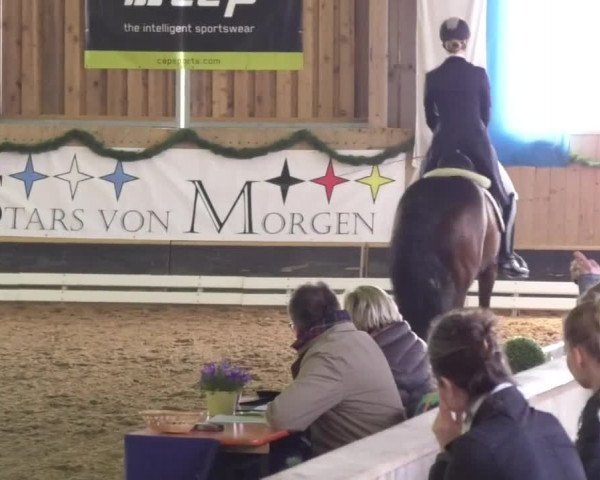 Reitturnier Landshut 2017