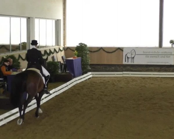 Reitturnier Landshut 2017