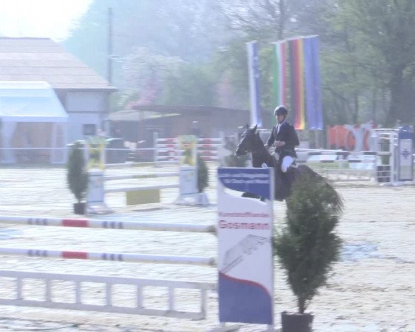 Reitturnier Bottrop 2017