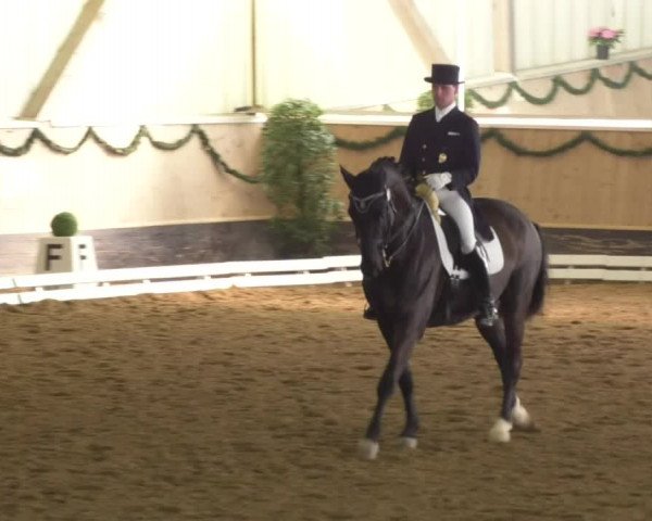 Reitturnier Landshut 2017