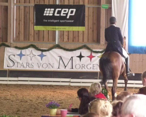 Reitturnier Landshut 2017