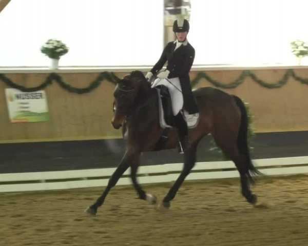 Reitturnier Landshut 2017