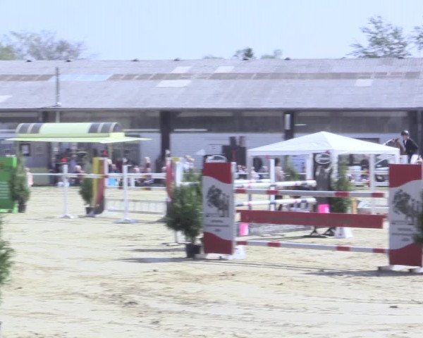 Reitturnier Bottrop 2017