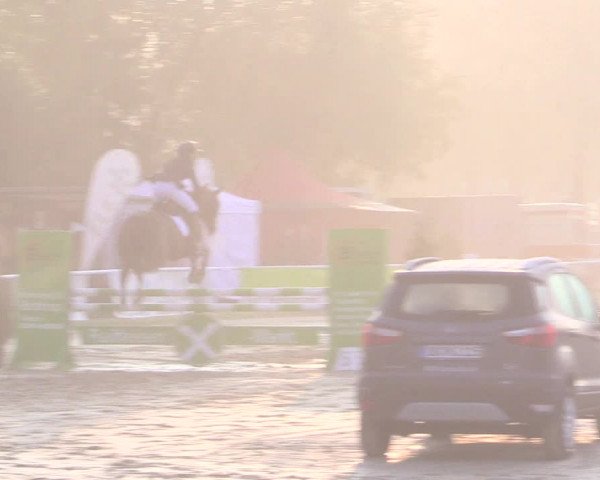 Reitturnier Bottrop 2017