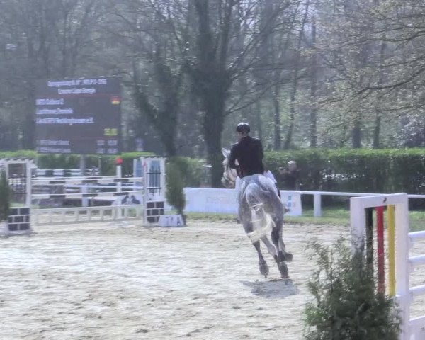 Reitturnier Bottrop 2017