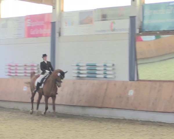 Reitturnier Bottrop 2017