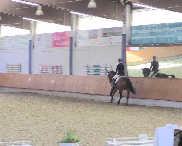 Reitturnier Bottrop 2017