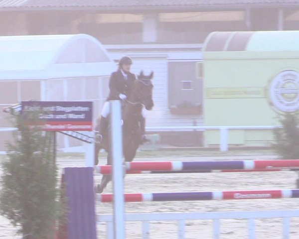 Reitturnier Bottrop 2017