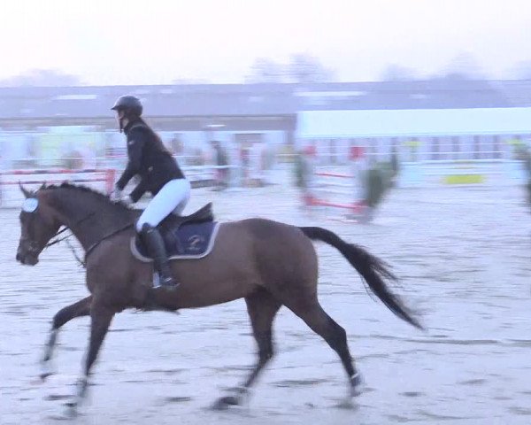 Reitturnier Bottrop 2017