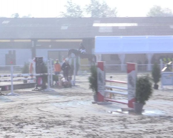 Reitturnier Bottrop 2017