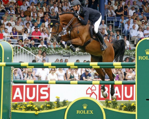 Springpferd Liberty Son 2 (Westfale, 2003, von Clooney)