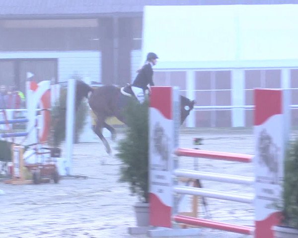 Reitturnier Bottrop 2017
