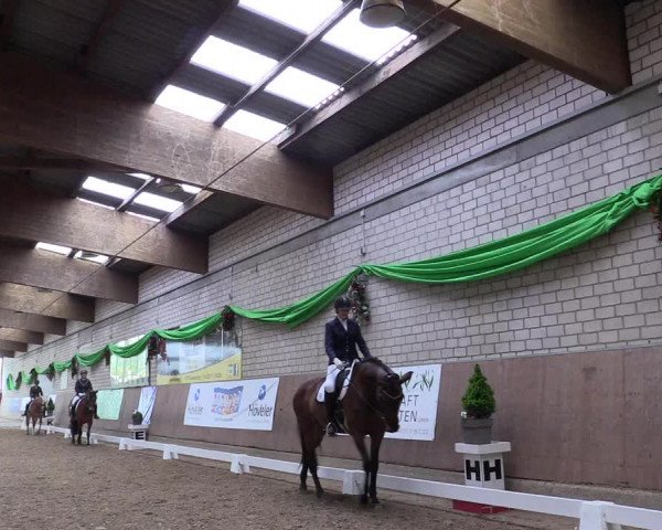 Reitturnier Leverkusen-Rheindorf 2017